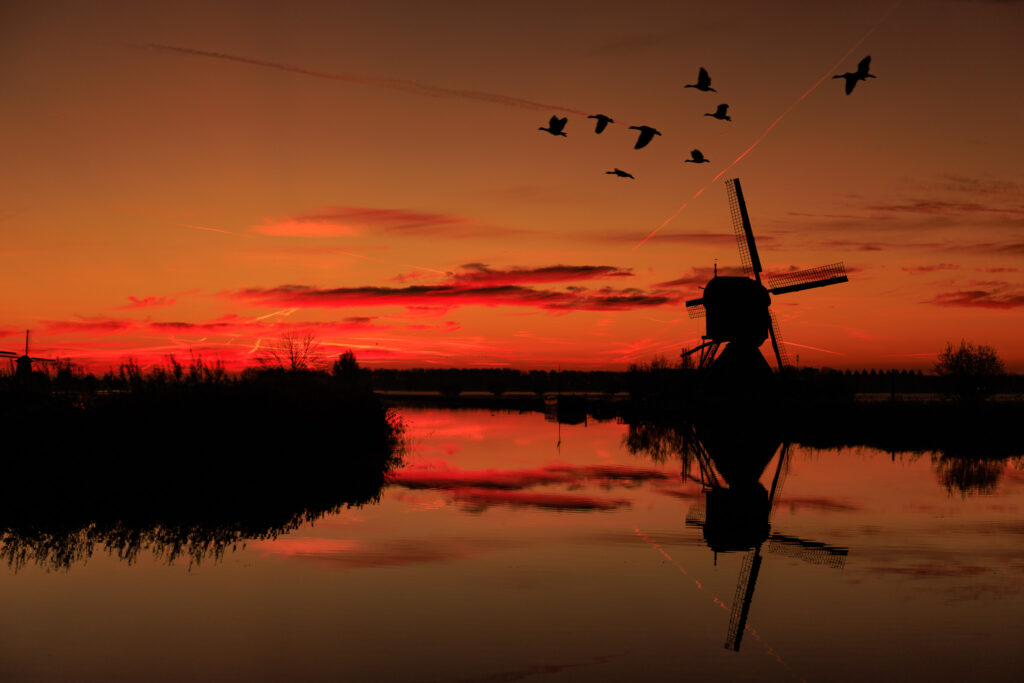 kinderdijk landscape photography