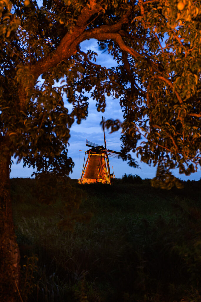 kinderdijk landscape photography